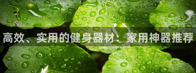 征途国际平台APP:高效、实用的健身器材:家用神器推荐