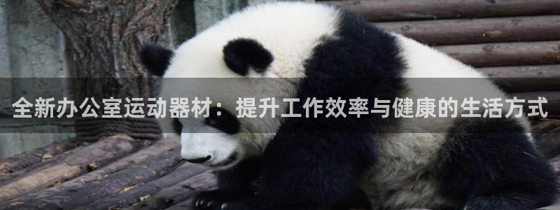 征途国际招商电话号码是多少啊:全新办公室运动器材:提升工作效